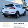 Hyundai TUCSON Tucson 1,7 CRDI Start-Stopp Go DCT*Servicegepfl... Blanc - thumbnail 3