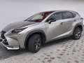 Lexus NX 300h Lexus NX300h E-FOUR F SPORT | Top Ausstattung Silber - thumbnail 2