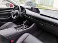 Mazda 3 Mazda 3 Sedan Skyactiv G122 Comfort+ /SO/PR/ST/TE Rot - thumbnail 11