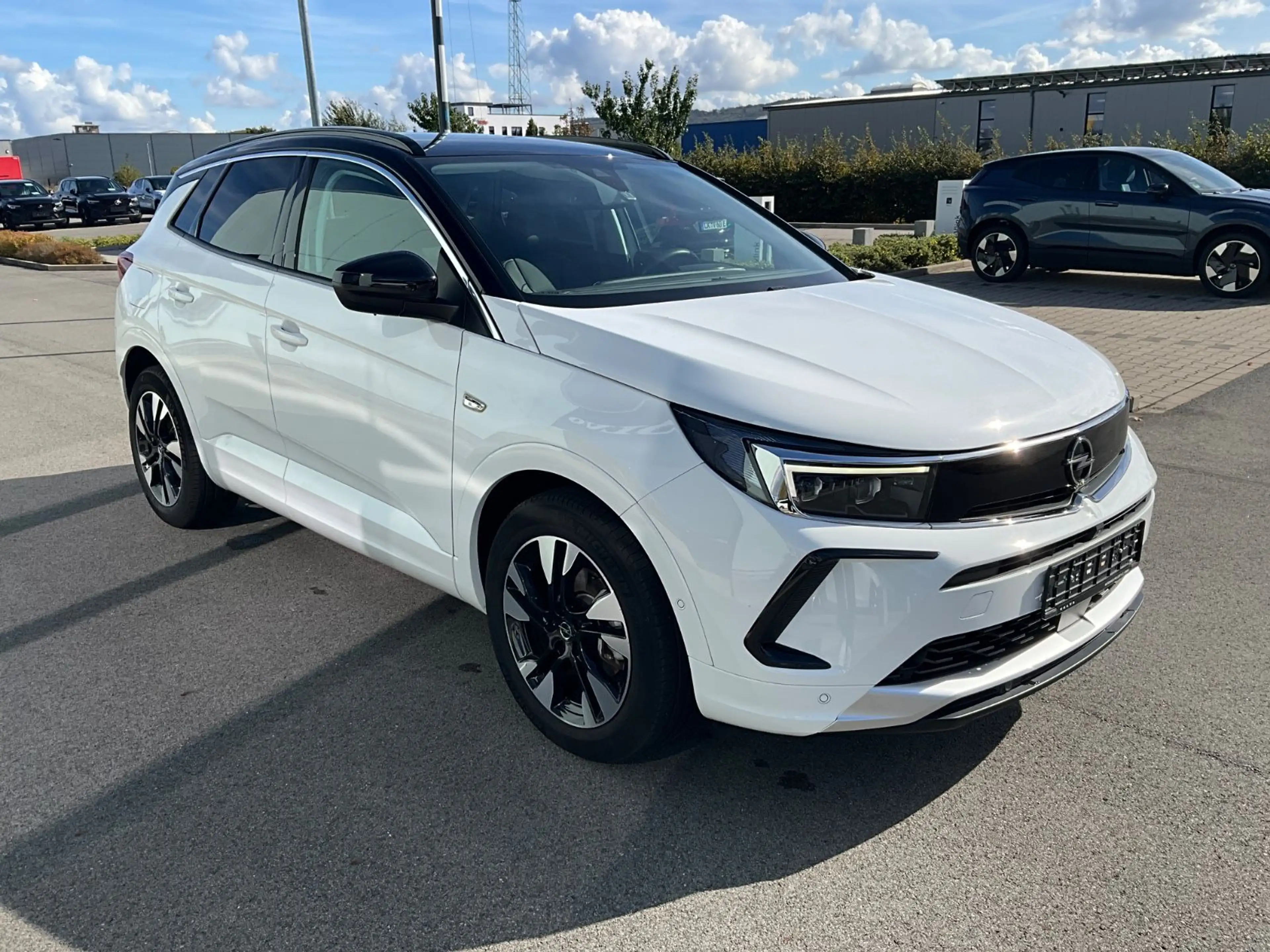 Opel Grandland X — photo 7
