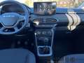 Dacia Sandero Stepway Expression TCe 100 LPG KLIMA KAMERA LED Kl Beige - thumbnail 16