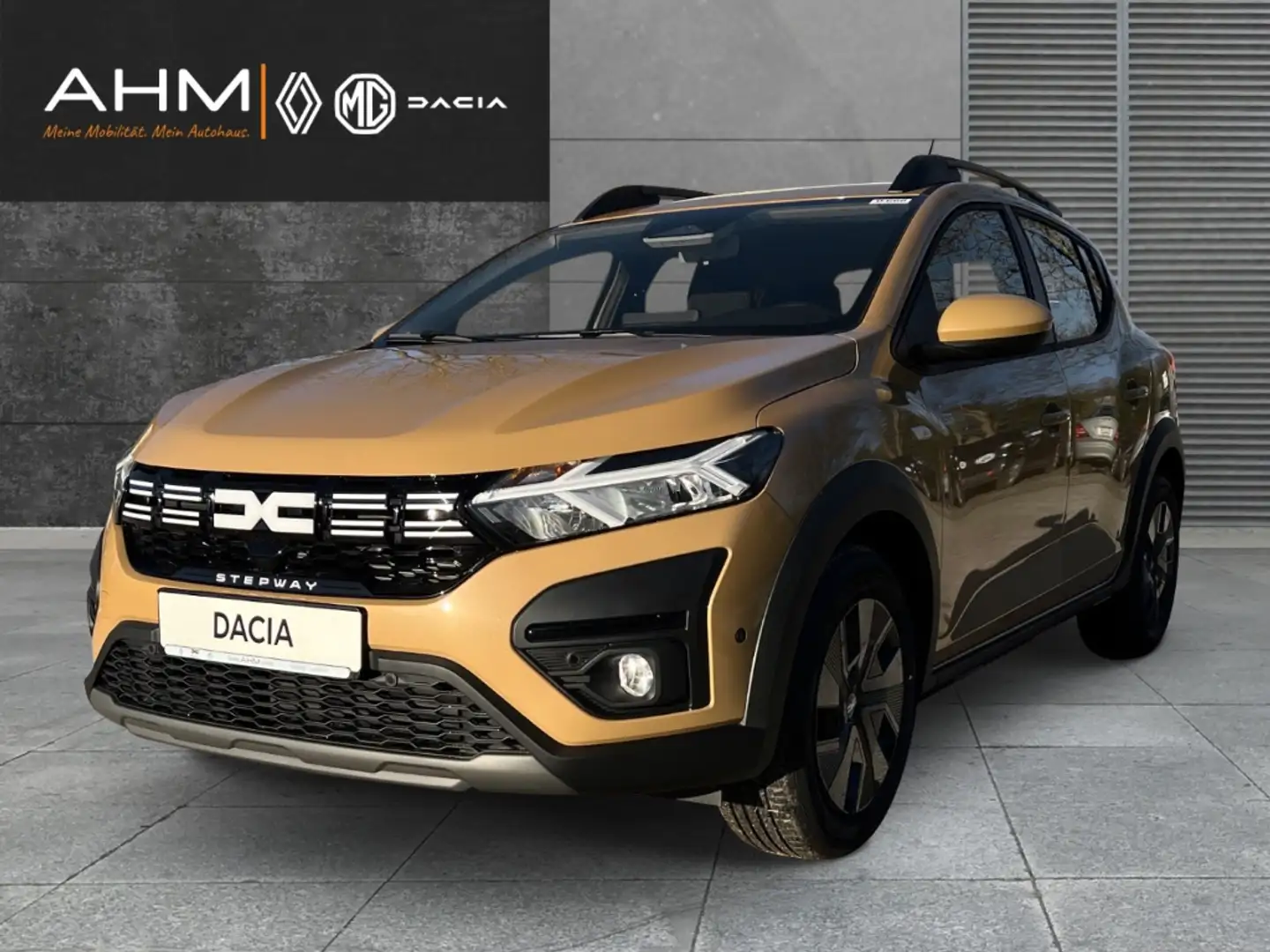 Dacia Sandero Stepway Expression TCe 100 LPG KLIMA KAMERA LED Kl Beige - 1