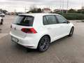 Volkswagen Golf Golf 5p 1.6 tdi Highline 4motion Bianco - thumbnail 7