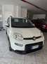 Fiat Panda 1.0 firefly hybrid City Life s&s 70cv Blanc - thumbnail 1