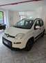 Fiat Panda 1.0 firefly hybrid City Life s&s 70cv Blanc - thumbnail 2