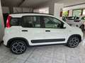 Fiat Panda 1.0 firefly hybrid City Life s&s 70cv Blanc - thumbnail 5