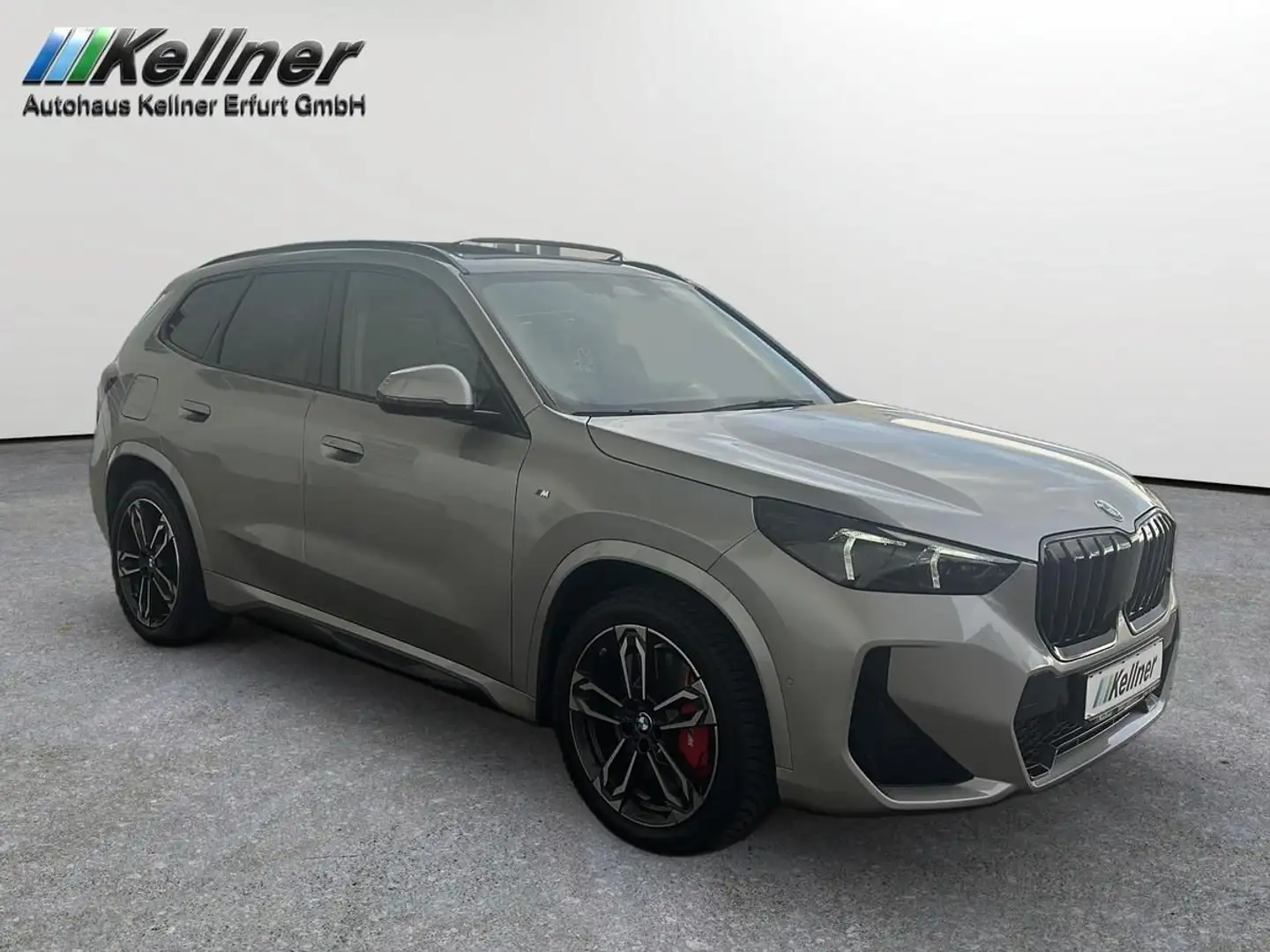 BMW X1 20i Aut. M-Sport-PRO+AHK+Pano+adapt.Fahrwerk Silber - 2