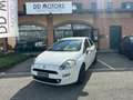 Fiat Punto 1.2 8V 5p. Lounge *NEOPATENTATI* Wit - thumbnail 1