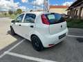 Fiat Punto 1.2 8V 5p. Lounge *NEOPATENTATI* Wit - thumbnail 7