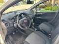 Fiat Punto 1.2 8V 5p. Lounge *NEOPATENTATI* Wit - thumbnail 16