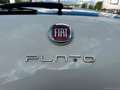 Fiat Punto 1.2 8V 5p. Lounge *NEOPATENTATI* Wit - thumbnail 10