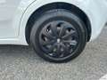 Fiat Punto 1.2 8V 5p. Lounge *NEOPATENTATI* Wit - thumbnail 12