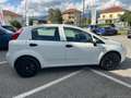 Fiat Punto 1.2 8V 5p. Lounge *NEOPATENTATI* Wit - thumbnail 4