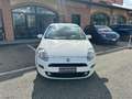 Fiat Punto 1.2 8V 5p. Lounge *NEOPATENTATI* Wit - thumbnail 2