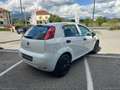 Fiat Punto 1.2 8V 5p. Lounge *NEOPATENTATI* Wit - thumbnail 5