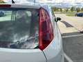 Fiat Punto 1.2 8V 5p. Lounge *NEOPATENTATI* Wit - thumbnail 9