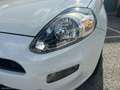Fiat Punto 1.2 8V 5p. Lounge *NEOPATENTATI* Wit - thumbnail 8