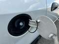 Fiat Punto 1.2 8V 5p. Lounge *NEOPATENTATI* Wit - thumbnail 11