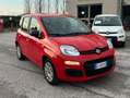Fiat Panda Panda 1.0 firefly hybrid (Red) s Rot - thumbnail 1