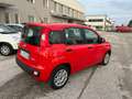 Fiat Panda Panda 1.0 firefly hybrid (Red) s Rot - thumbnail 6