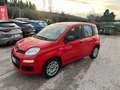 Fiat Panda Panda 1.0 firefly hybrid (Red) s Rot - thumbnail 5