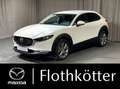 Mazda CX-30 D116 SELECTION*DESIGN*ACTIVE*BOSE*NAVI* Blanc - thumbnail 1