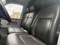 Volkswagen Transporter 2.0 TDI L2H1 Com. DC Groen - thumbnail 15