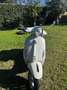 Piaggio Primavera vespa primavera 50 bianca - thumbnail 2