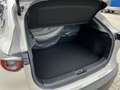 Mazda CX-30 e-Skyactive G140 Homura Aut. - thumbnail 6