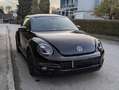Volkswagen Beetle Beetle Cabrio  2,0 TDI Comfortline Comfortline Schwarz - thumbnail 3