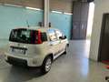 Fiat Panda Panda 1.0 hybrid 70CV van 4p street Blanc - thumbnail 4