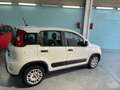Fiat Panda Panda 1.0 hybrid 70CV van 4p street Blanc - thumbnail 8