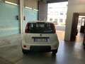 Fiat Panda Panda 1.0 hybrid 70CV van 4p street Blanc - thumbnail 5