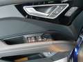 Audi 50 e-tron quattro Matrix Pano AHK Bleu - thumbnail 10