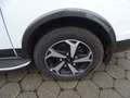 Ford Tourneo Custom 320 L1 Tourneo Active Automatik+Ahk+Xenon Blanc - thumbnail 2