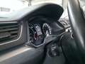 Skoda Superb Ambition TDI Grau - thumbnail 13