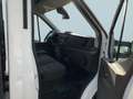 Ford Transit 350 L4 4x4 Trend Pritsche Allrad Белый - thumbnail 8