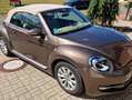 Volkswagen Beetle The Beetle Cabriolet 2.0 TDI DSG Exclusive Design - thumbnail 4