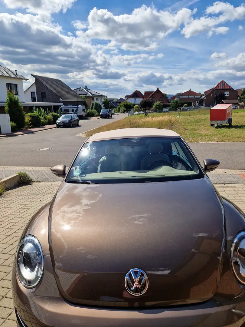 Volkswagen Beetle The Beetle Cabriolet 2.0 TDI DSG Exclusive Design - 2