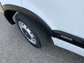 Opel Movano 1.9 CDTi L1H1(Koppeling Defect) 3 Zits Trekhaak 20 Bianco - thumbnail 11
