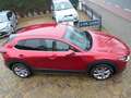 Mazda CX-30 2.0 e-SkyActiv-G M Hybrid Comfort 57788 KM/LMV/HUB Rouge - thumbnail 6