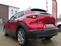 Mazda CX-30 2.0 e-SkyActiv-G M Hybrid Comfort 57788 KM/LMV/HUB Rouge - thumbnail 4