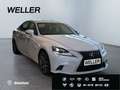 Lexus IS 300 h F Sport *LED*Leder*el Sitze*adap Fahrw* Weiß - thumbnail 4