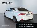 Lexus IS 300 h F Sport *LED*Leder*el Sitze*adap Fahrw* Weiß - thumbnail 7