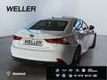 Lexus IS 300 h F Sport *LED*Leder*el Sitze*adap Fahrw* Weiß - thumbnail 19