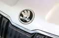 Skoda Karoq 2.0TDI Adblue Ambition 85kW Gris - thumbnail 10