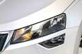 Skoda Karoq 2.0TDI Adblue Ambition 85kW Gris - thumbnail 18