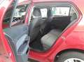 Volkswagen Golf VIII 1.5 TSI Life Pano*LED+*ACC*RFK*App-Co. Rot - thumbnail 6