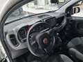 Fiat Panda 1.0 HYBRID 70cv CITY LIFE **27.000KM** Bianco - thumbnail 8