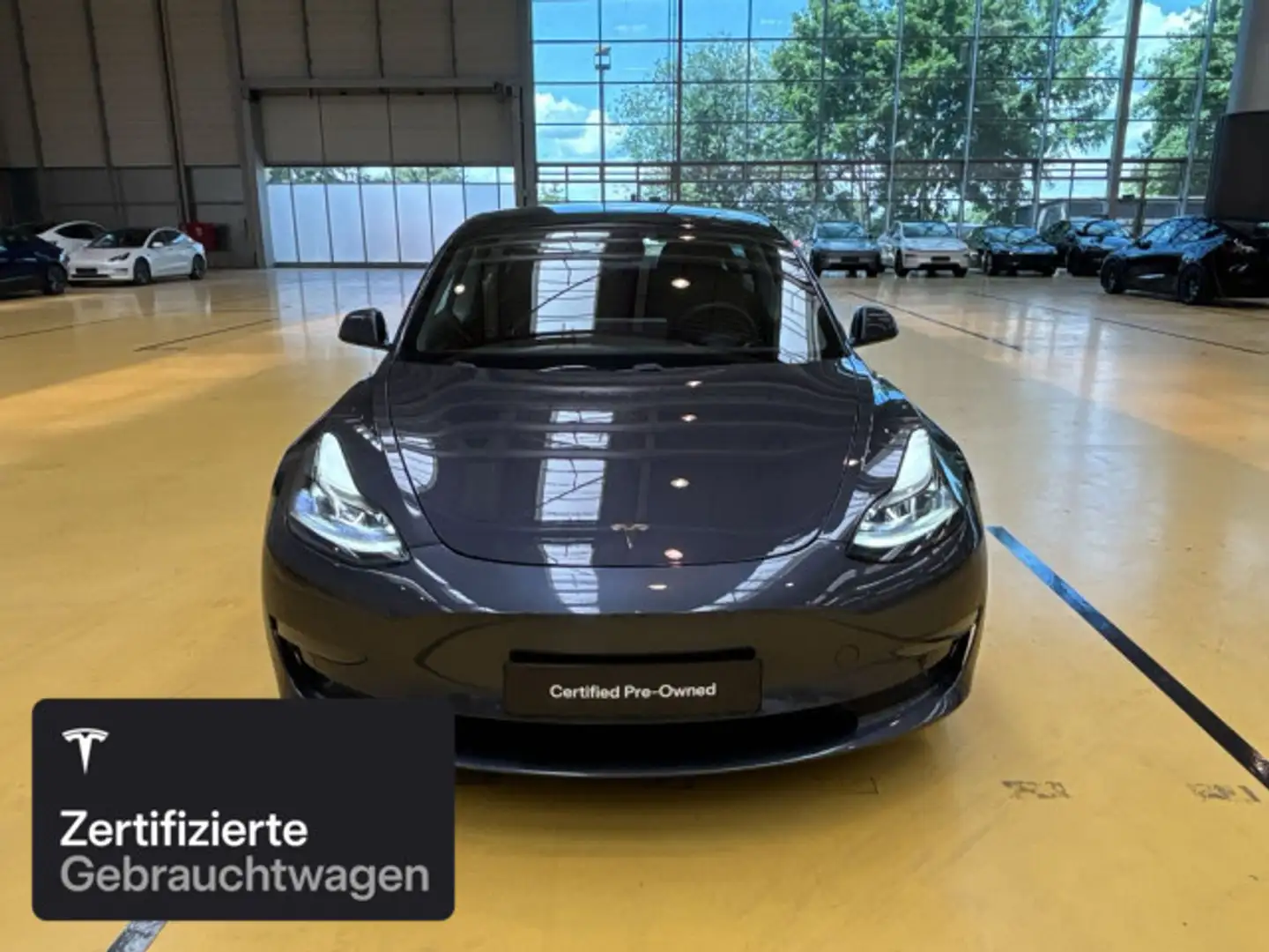 Tesla Model 3 Performance Silber - 2